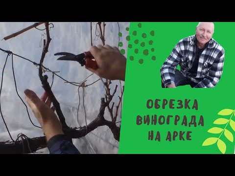 Видео: Обрезка, АРКА