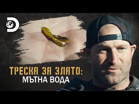 Видео: Умиращо желание | Треска за злато: Мътна вода