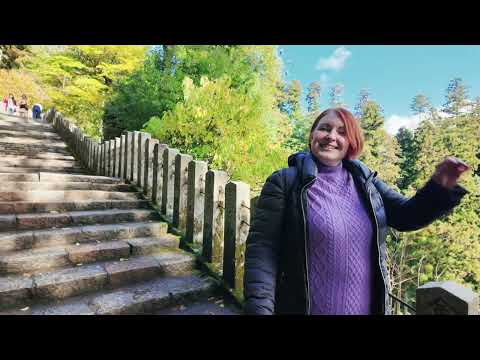 Видео:  Рейкі зрозумілою мовою від Майстра . #рейкі #рейки #reiki