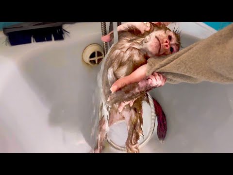 Видео: ОБХОХОЧЕШЬСЯ! Вы еще не видели, чтобы Анфиса ТАК КУПАЛАСЬ!))