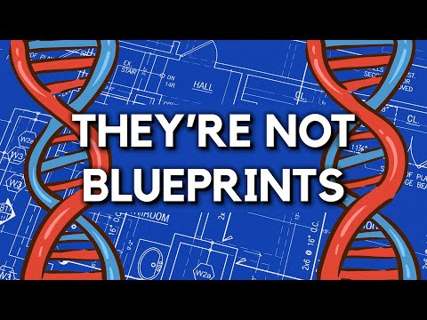 Видео: Вам лгали о генетике