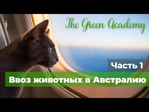 Видео: Ввоз животных в Австралию. Часть первая.