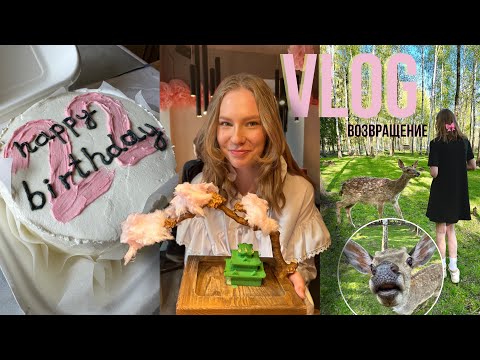 Видео: Вернулась спустя 3 месяца/ Мне 22! / Сказочная ферма бэмби