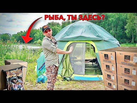 Видео: Кормим 30 ДНЕЙ точку рядом с ПАЛАТКОЙ! Рыба придет?!