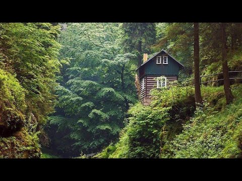 Видео: Урок 99. Когда делать скраб в бане