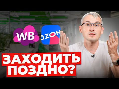 Видео: На Wildberries больше НЕ ЗАРАБОТАТЬ?! Считаем, сколько денег будет на маркетплейсах в 2025 году