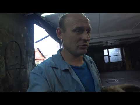 Видео: Устранение течи сальника коленвала двигателя ск-12(уд-25)