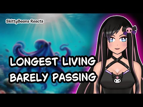 Видео: Реакция на осьминогов была сделана грязно от Causal Geographic