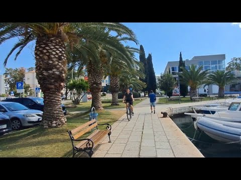 Видео: Выехала прогуляться.. 
