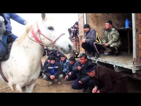 Видео: 86 жылгы Каракай жастарынын кокпары 02 01 2020