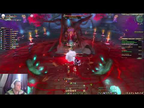 Видео: Perfect World - Старая Серебряная Цитадель (ССЦ)