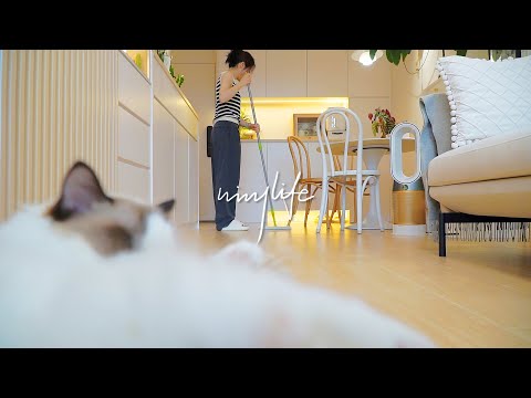 Видео: 5 способов для семей, в которых есть кошки, поддерживать чистоту в доме 🐈🌿｜Убирайтесь со мной 🧹