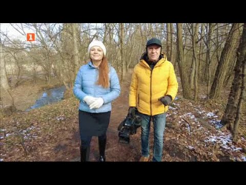 Видео: Фалират ли фермите заради липса на работещ бизнес план? - "Бразди", 30.11.2024