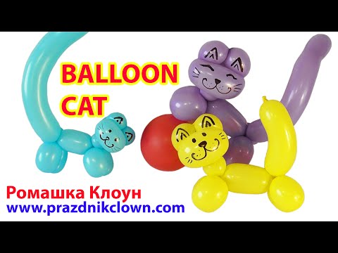 Видео: КОТ котик из одного шарика ШДМ One Balloon Animal Cat DIY TUTORIAL como hacer un gatito con globos