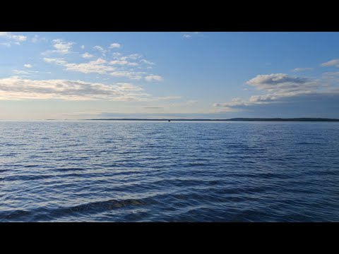 Видео: Рыбалка в Карелии, июнь 2025 г. Часть вторая. Топозеро.