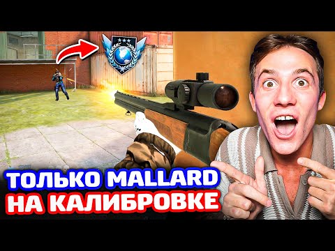 Видео: ТОЛЬКО MALLARD на КАЛИБРОВКЕ на Легендах в Standoff 2