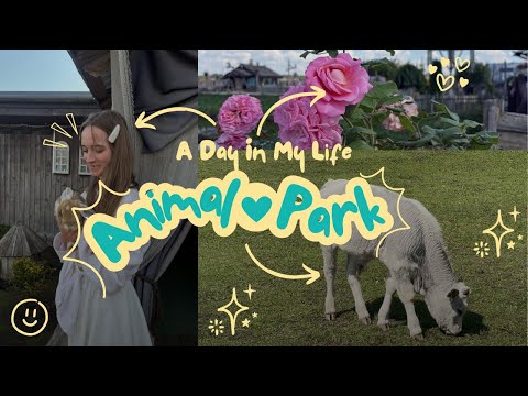 Видео: VLOG/Парк животных, прогуляйся со мной 🐾🦝🦢🦙🐫