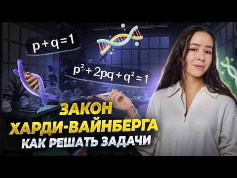 Видео: Все о законе Харди-Вайнберг | Задание 27 | ЕГЭ Биология | Умскул