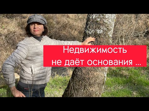 Видео: Как получить ВНЖ в Болгарии? Фирму открывать надо? Правила для граждан ЕС?