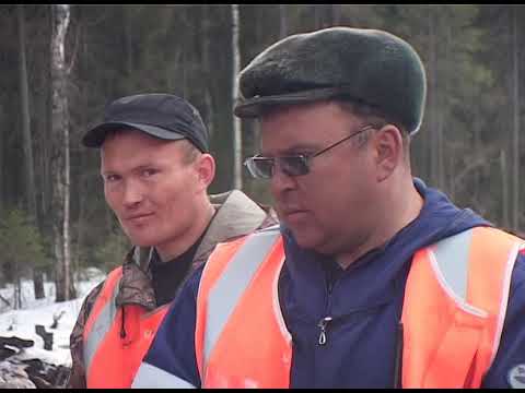 Видео: Принудительный ввод плетей в температуру с использованием ГНУ