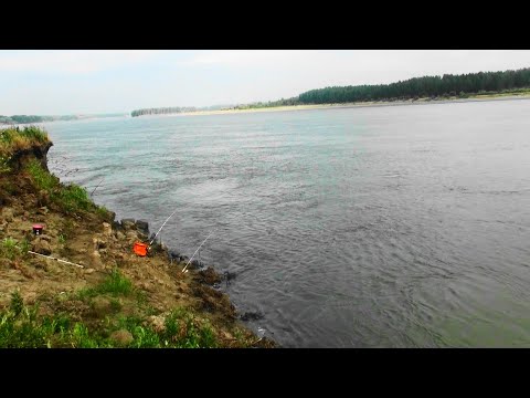 Видео: Рыбалка на Оби.