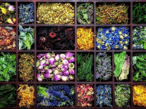 Видео: Садханы, вызовы и ритуалы (Mylene Maelinhon)