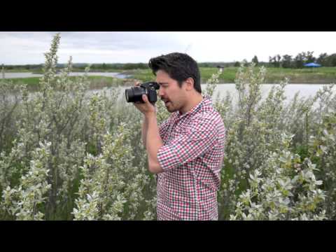 Видео: Практические полевые испытания Panasonic FZ1000