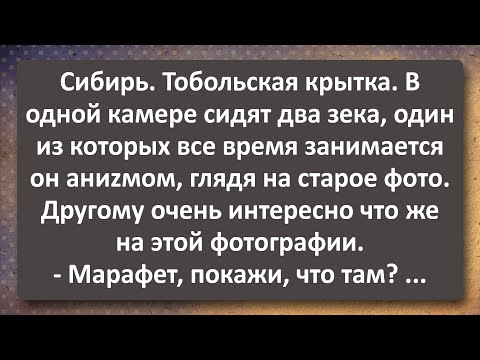 Видео: Тобольская Крытка! Лучшие Анекдоты Всех Времен!