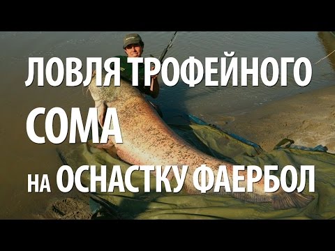 Видео: РЫБАЛКА в ИТАЛИИ на СОМА. СНАСТЬ на КРУПНОГО СОМА, КАК СДЕЛАТЬ ОСНАСТКУ ФАЕРБОЛ