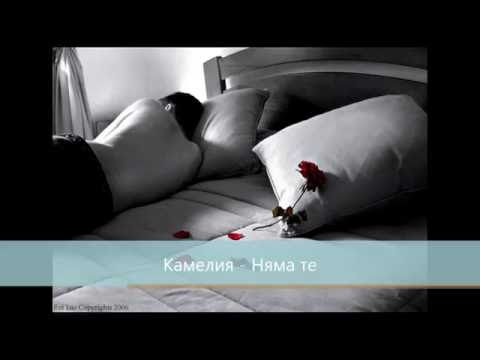 Видео: Камелия - Няма те