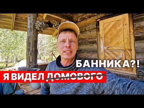 Видео: Как теперь ходить в БАНЮ? Языческая баня что-ли? Есть БАННИК?