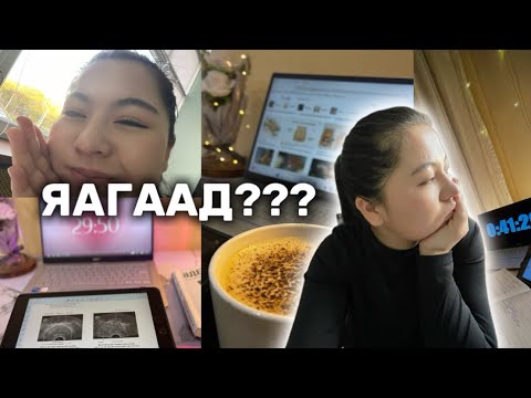 Видео: ХОВ БАЗАЛТ: Монголoос ирсэн арчаагүй оюутан байх үед🍂