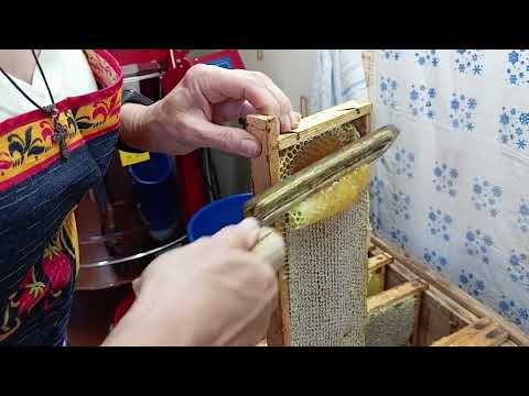 Видео: Паровой нож для распечатки сотов (31.08.2024)