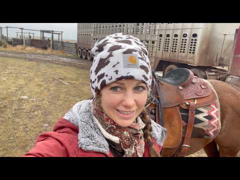 Видео: Установка стальных загонов для коров и сбор коров Таунсенда