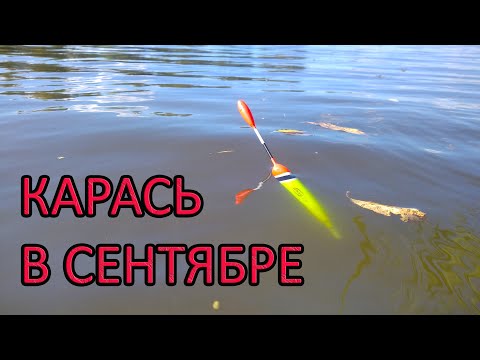 Видео: Карась  в  Сентябре. рыбалка на карася.