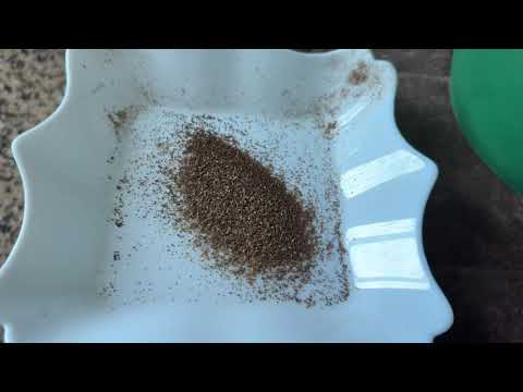 Видео: Заготовка семян Табака 