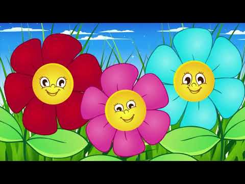 Видео: Ознакомление с окружающим миром для средней группы "Цветы"