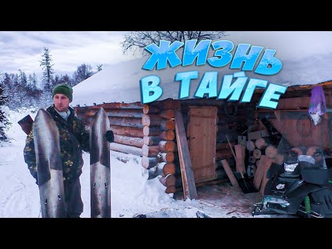 Видео: НАЙДА ЧУТЬ НЕ ПОПАЛА В БЕДУ. СОВЕТСКИЙ ТОПОР. ОДИН В ТАЙГЕ. ОТЗЫВ НА " ПРОСТО НОЖ"