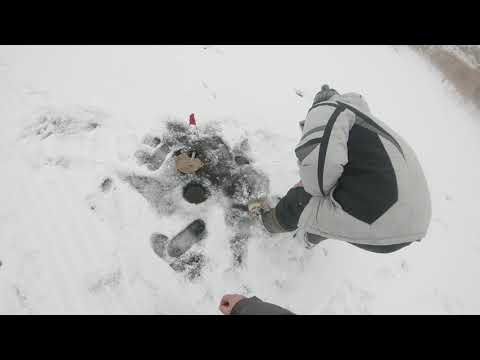 Видео: ХОРОШИЙ УЛОВ! ЩУКА НА ЖЕРЛИЦЫ В ТОРГАЕ