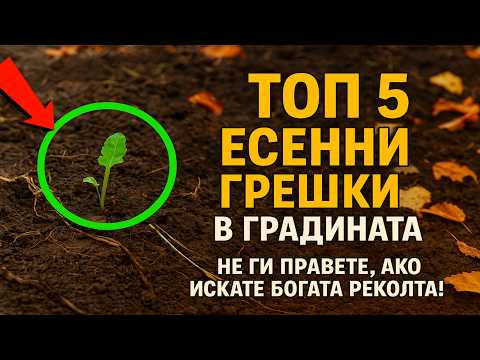 Видео: Топ 5 есенни грешки в градината. Не ги правете, ако искате богата реколта!