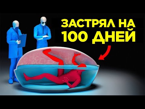 Видео: Реальные Истории, Которые Кажутся Выдуманными