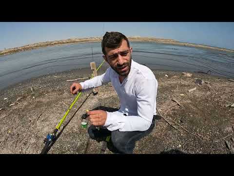 Видео: Говорят, в реке Сумгайыт есть РЫБА – мы пошли ПРОВЕРИТЬ!