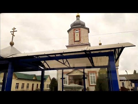 Видео: ДОБРУШ,город в котором я живу,покатушки на автобусе Беларусь/магазин Кормов для животных