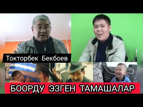 Видео: ТОКТОРБЕК БЕКБОЕВ  ТАРТУУЛАЙТ.
