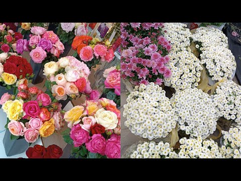 Видео: ЯРМАРКА "ФЕЕРИЯ ЦВЕТОВ"🌹🌸🌺😍РОСТОВ-НА-ДОНУ