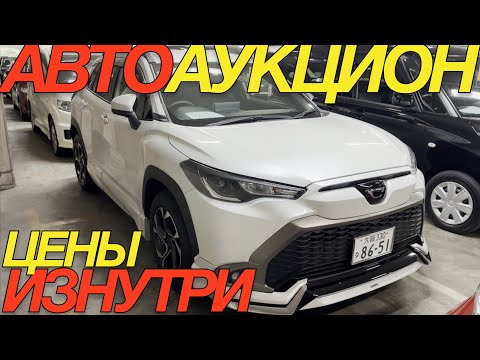 Видео: ТОРГИ В ЯПОНИИ ПРОДОЛЖАЮТСЯ TOYOTA WISH FIELDER COROLLA CROSS DAIHATSU ROCKY HONDA FIT MAZDA 2