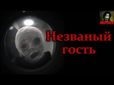 Видео: НЕЗВАНЫЙ ГОСТЬ. Страшные истории на ночь. Страшилки на ночь