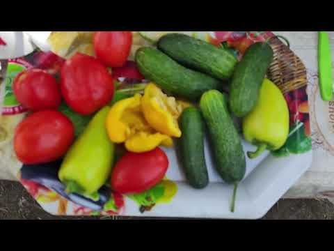 Видео: Осенняя рыбалка на Или вблизи Кокжиде. Часть 2