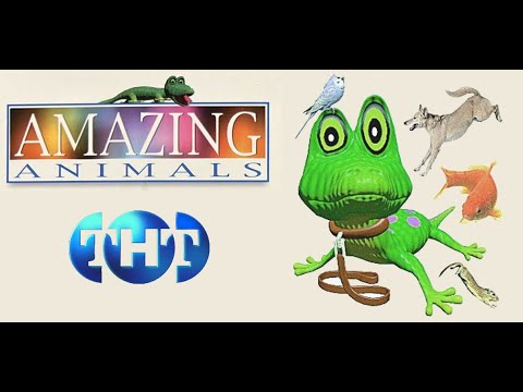 Видео: Удивительные животные (Передача ТНТ, 1998 г.)