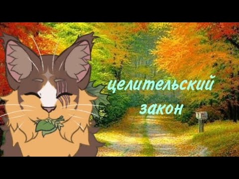 Видео: кто такие целители и каков их закон ? / чит.оп / коты воители / белолапка кв